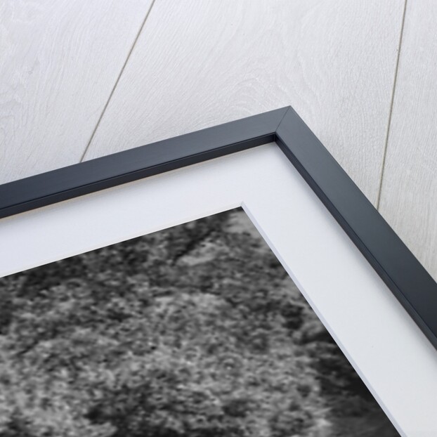 Motorcycle and sidecar competing in the Brighton and Hove Motor Club Brighton-Beer Trial, 1930 by Bill Brunell