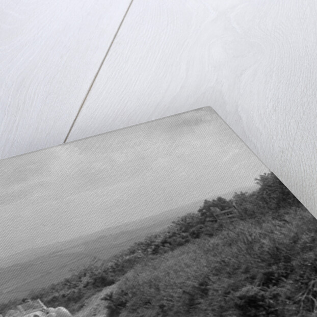 Frazer-Nash BMW of CRY King competing in the MCC Torquay Rally, 1938 by Bill Brunell