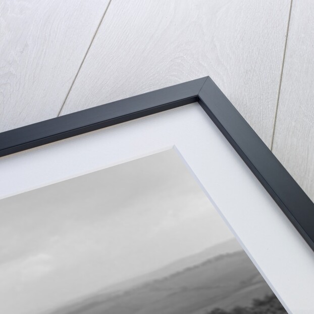 Riley Monaco saloon of VJ Fishleigh competing in the MCC Torquay Rally, 1938 by Bill Brunell