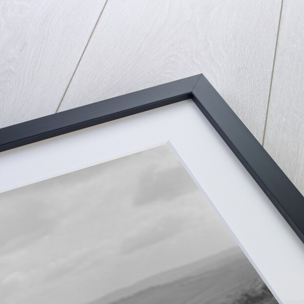 Frazer-Nash BMW 315/40 of AE Frost competing in the MCC Torquay Rally, 1938 by Bill Brunell