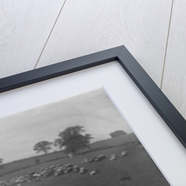 MG Magnette competing in the MG Car Club Rushmere Hillclimb, Shropshire, 1935 by Bill Brunell
