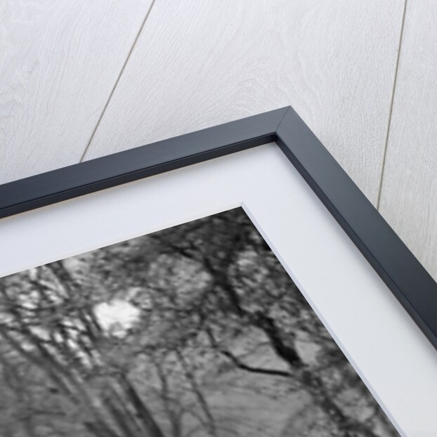 OM of PD Walker competing in the MCC Sporting Trial, 1930 by Bill Brunell