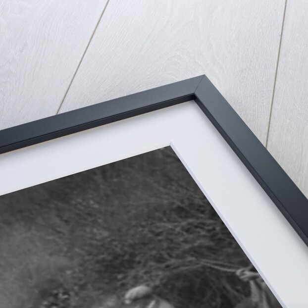 Singer of JAH Gott competing in the MCC Lands End Trial, 1935 by Bill Brunell