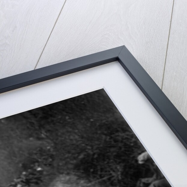 Wolseley Hornet of WR Hancock competing in the MCC Lands End Trial, 1935 by Bill Brunell