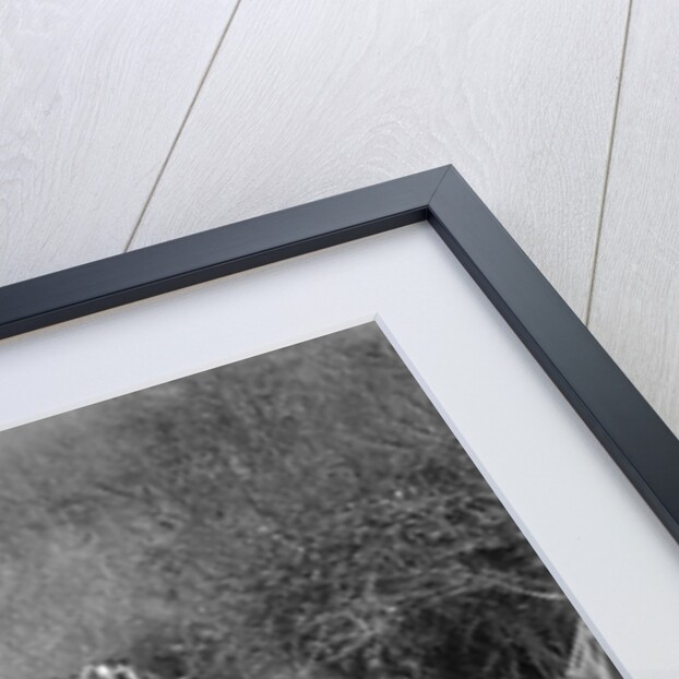 Jowett of GA Ladwig competing in the MCC Lands End Trial, 1935 by Bill Brunell