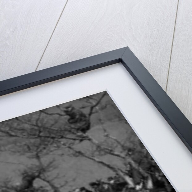 748 cc BSA and sidecar of HJ Finden at the MCC Lands End Trial, Beggars Roost, Devon, 1936 by Bill Brunell