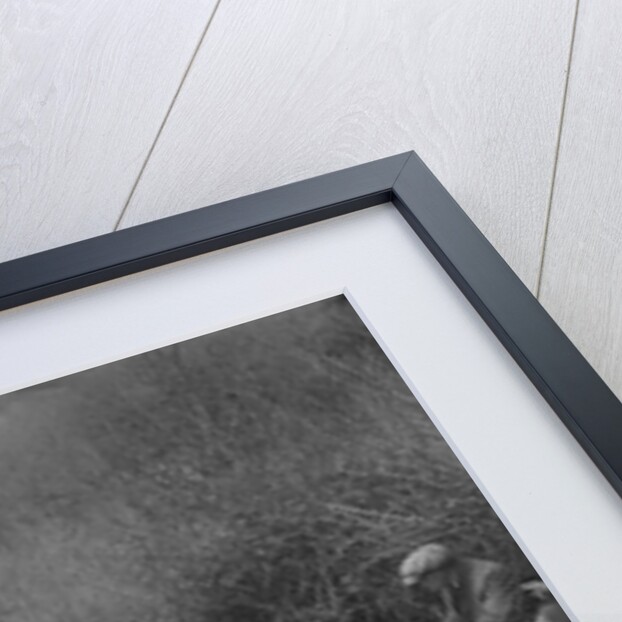 MG PA of Jack Bastock of the Cream Cracker Team competing in the MCC Lands End Trial, 1935 by Bill Brunell