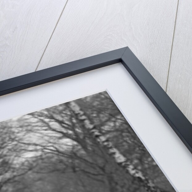 Frazer-Nash competing in the Sunbeam Motor Car Club Bognor Trial, 1929 by Bill Brunell