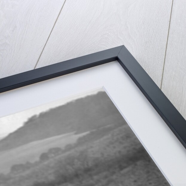 Riley 16 competing in the London Motor Club Coventry Cup Trial, Knatts Hill, Kent, 1938 by Bill Brunell