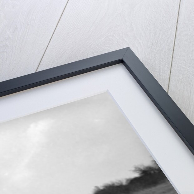 MG TA competing in the London Motor Club Coventry Cup Trial, Knatts Hill, Kent, 1938 by Bill Brunell