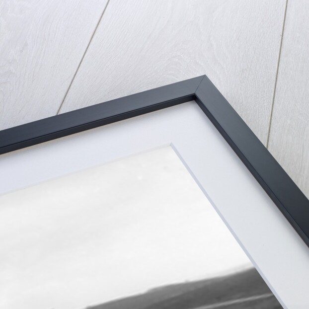 Motorcycle and sidecar competing in a motoring trial, Bagshot Heath, Surrey, 1930s by Bill Brunell