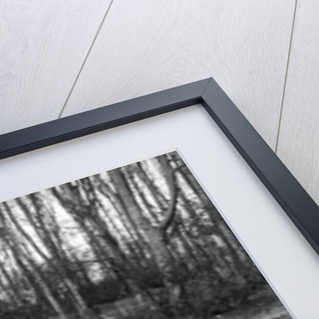 Ian Connell's Vale Special racing at Donington Park, Leicestershire, 1935 by Bill Brunell