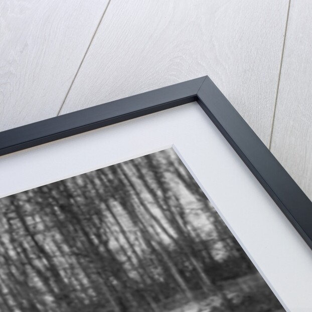 MG Magnette leading a Frazer-Nash Shelsley at Donington Park, Leicestershire, 1930s by Bill Brunell