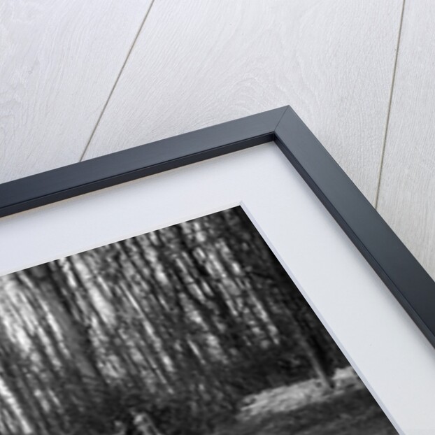 Frazer-Nash Byfleet II leading an MG at Donington Park, Leicestershire, 1935 by Bill Brunell