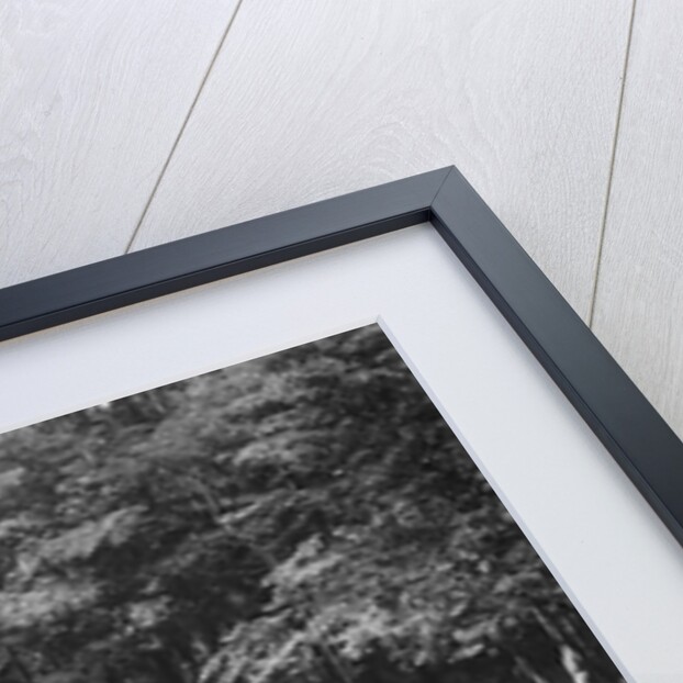 Frazer-Nash racing at Donington Park, Leicestershire, c1930s by Bill Brunell