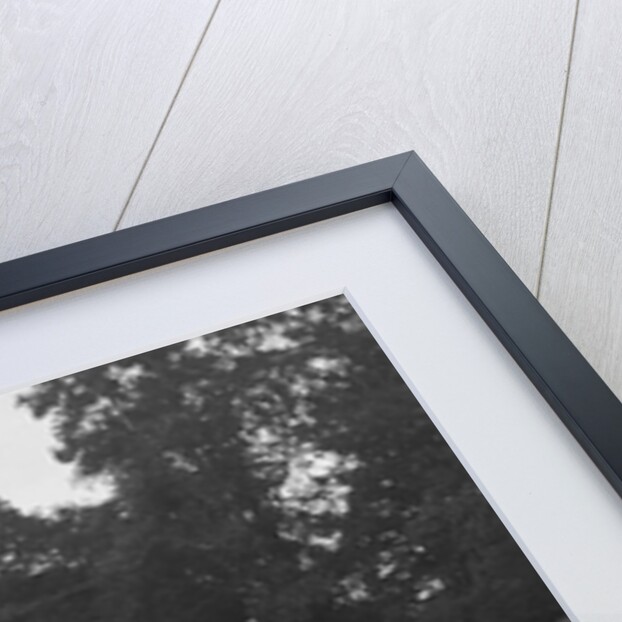 Alta of GE Abecassis winning the Imperial Trophy Formula Libre race at Crystal Palace, London, 1939 by Bill Brunell