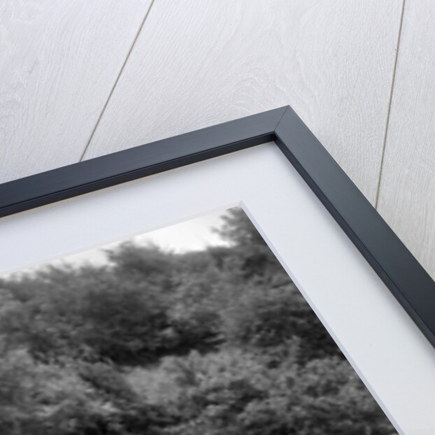 Singer Le Mans competing in the Mid Surrey Automobile Club Barnstaple Trial, 1934 by Bill Brunell