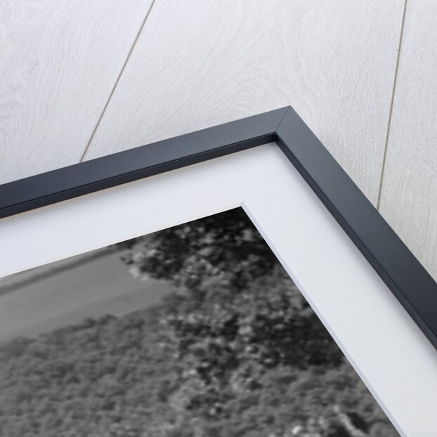 Riley 9 open 4-seater tourer at the Mid Surrey AC Barnstaple Trial, Beggars Roost, Devon, 1934 by Bill Brunell