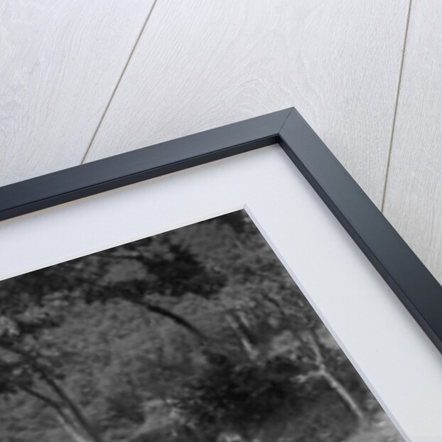 MG PA competing in the Mid Surrey AC Barnstaple Trial, Beggars Roost, Devon, 1934 by Bill Brunell