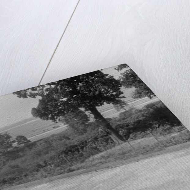 Bentley of FE Elgood and MG Magna of MB Watson racing at a MCC meeting, Brooklands, Surrey, 1933 by Bill Brunell