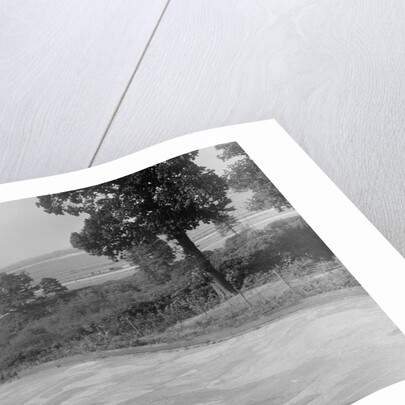 Bentley of FE Elgood and MG Magna of MB Watson racing at a MCC meeting, Brooklands, Surrey, 1933 by Bill Brunell