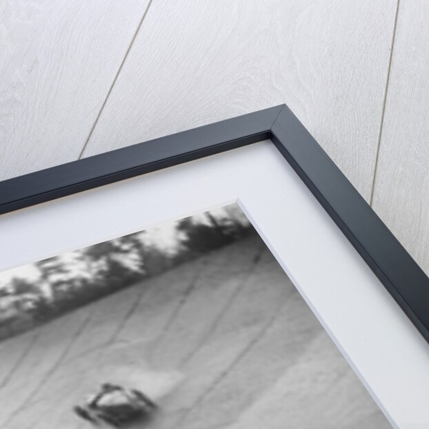Austin 7 and the spinning Riley of HL Roberts, BARC Mountain Race, Brooklands, Surrey, 1931 by Bill Brunell