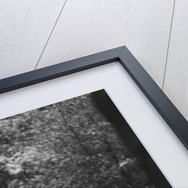 Salmson taking part in a motoring trial, c1930s by Bill Brunell