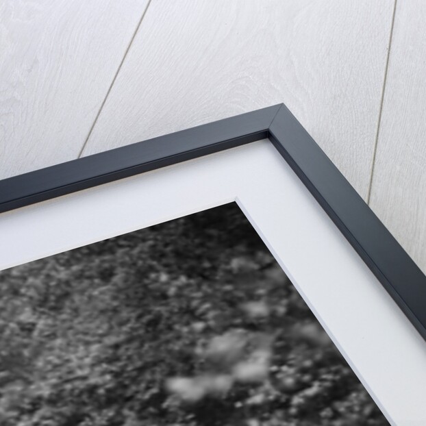 BSA car taking part in a motoring trial, c1930s by Bill Brunell