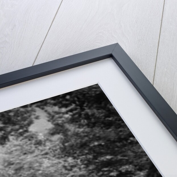 Ford Model A cabriolet competing in the Fingle Bridge Hillclimb, Devon, 1930s by Bill Brunell