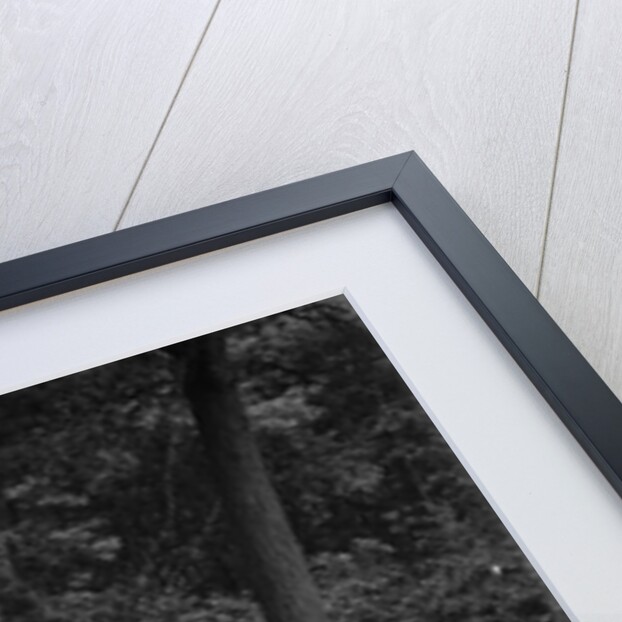 Frazer-Nash Vitesse taking part in a motoring trial, c1930s by Bill Brunell