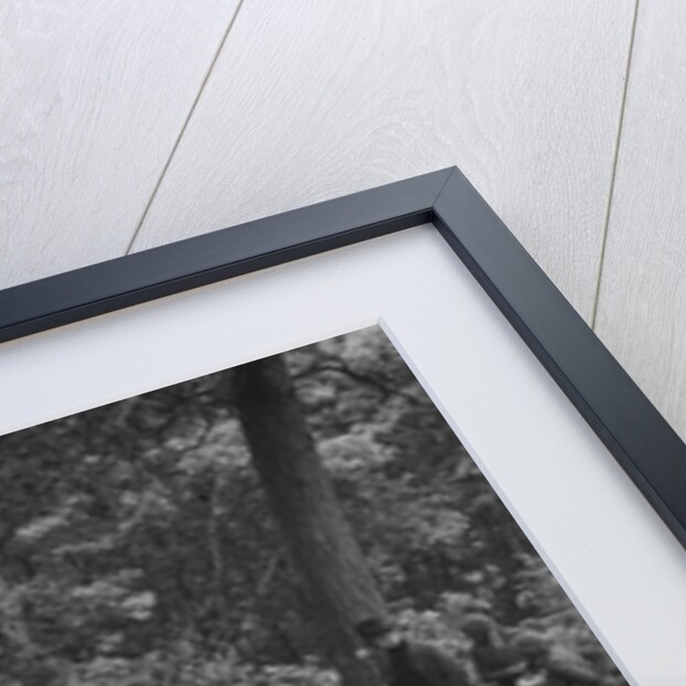 Riley Lynx taking part in a motoring trial, c1930s by Bill Brunell