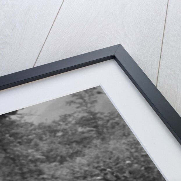 Fiat Balilla taking part in a motoring trial, c1930s by Bill Brunell