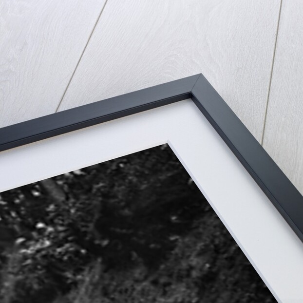 AC Acedes Six taking part in a motoring trial, c1930s by Bill Brunell