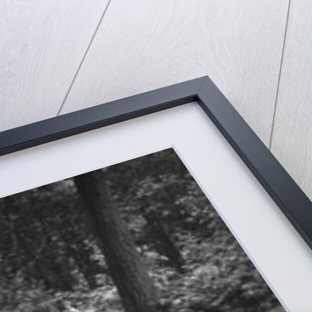 Amilcar taking part in a motoring trial, c1930s by Bill Brunell