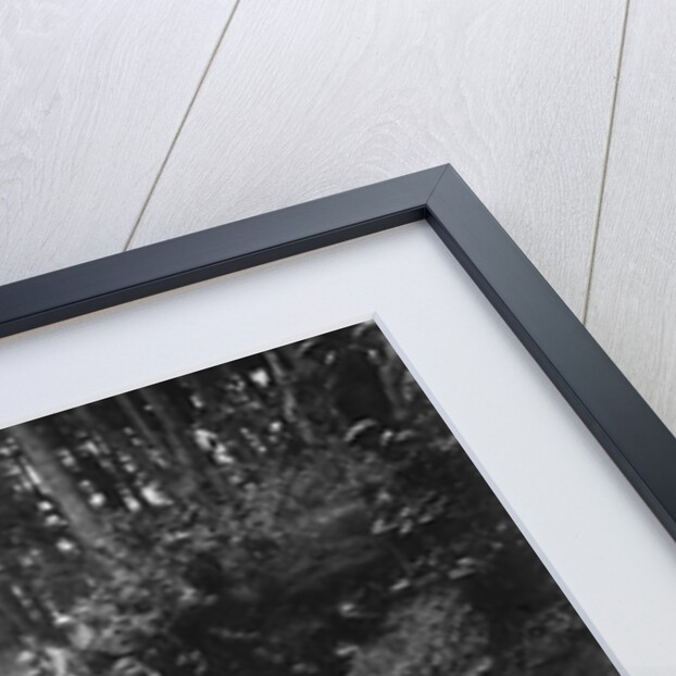 Riley taking part in a motoring trial, c1930s by Bill Brunell
