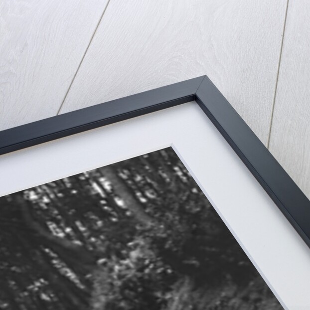 Riley taking part in a motoring trial, c1930s by Bill Brunell