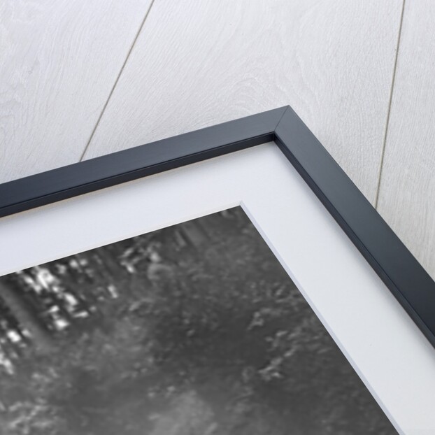 Frazer-Nash 2-seater taking part in a motoring trial, c1930s by Bill Brunell