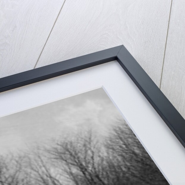 Ford of J McEvoy competing in the RAC Rally, 1939 by Bill Brunell