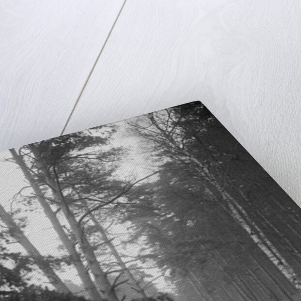 GWK taking part in the JCC General Efficiency Trial, Oxshott Woods, Surrey, 1923 by Bill Brunell