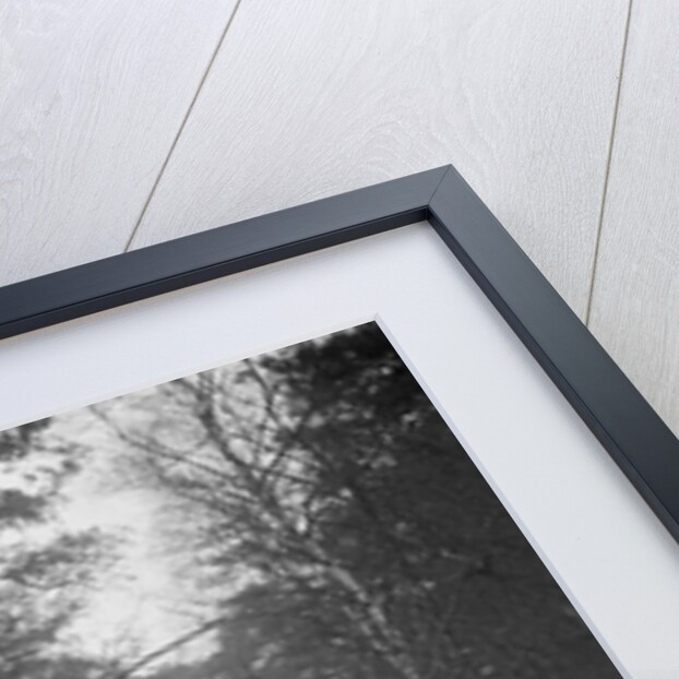 GWK taking part in the JCC General Efficiency Trial, Oxshott Woods, Surrey, 1923 by Bill Brunell