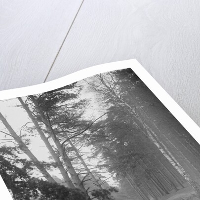 GWK taking part in the JCC General Efficiency Trial, Oxshott Woods, Surrey, 1923 by Bill Brunell