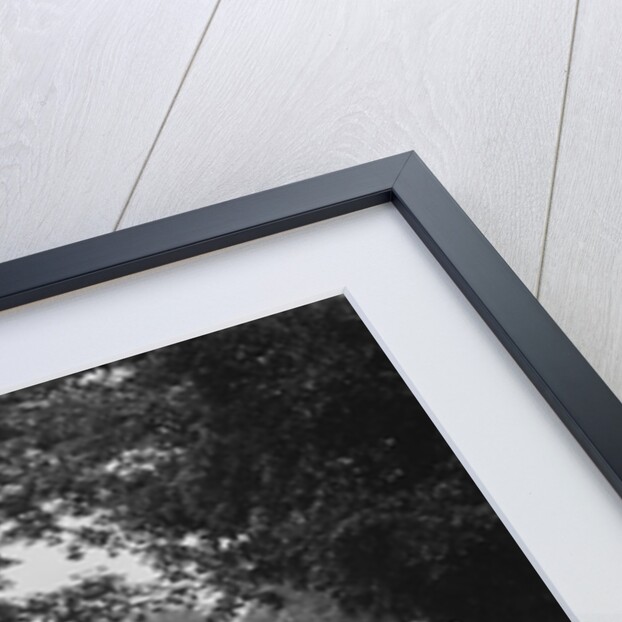 Frazer-Nash BMW 315/40 of AE Frost competing in the MCC Torquay Rally, 1938 by Bill Brunell