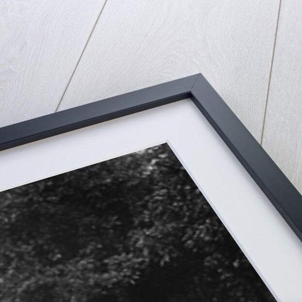 Vauxhall saloon of KFA Walker competing in the MCC Torquay Rally, 1938 by Bill Brunell