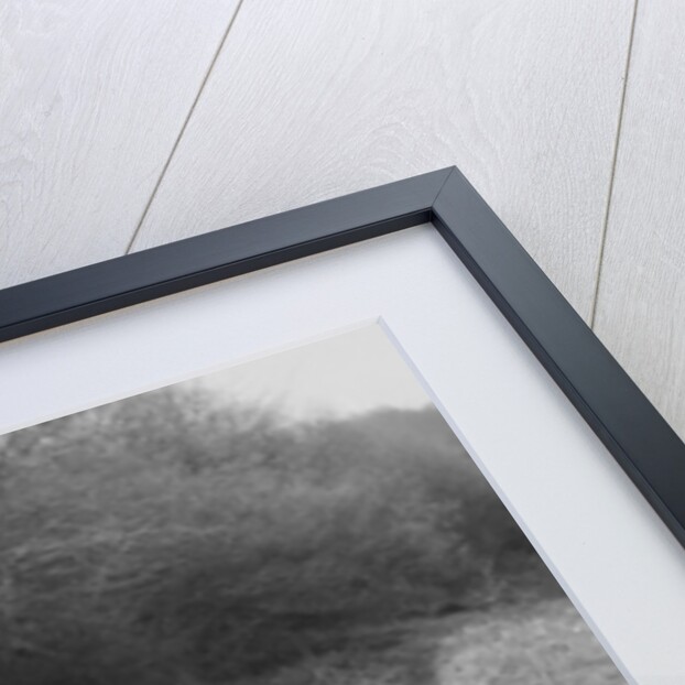 Derby Sports competing in the JCC Half-Day Trial, 1930 by Bill Brunell