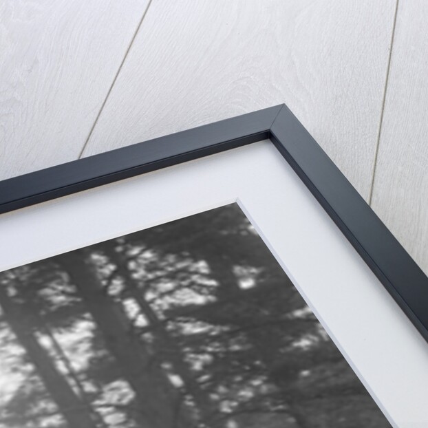 Salmson Sports 2-seater competing in the JCC Half-Day Trial, 1930 by Bill Brunell