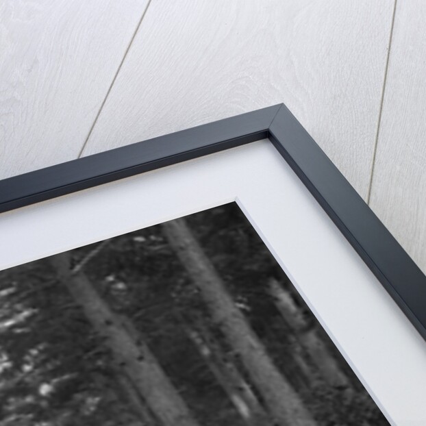 Talbot 18/55 4-seater tourer competing in the JCC Half-Day Trial, 1930 by Bill Brunell