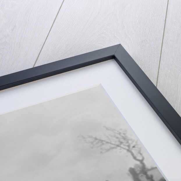 Austin sports saloon of Mrs MS Flewitt and Rolls-Royce saloon at the RSAC Scottish Rally, 1934 by Bill Brunell