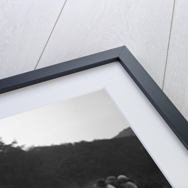 Talbot open 2-seater of Mrs Hawkes competing in a JCC hillclimb, South Harting, Sussex, 1922 by Bill Brunell