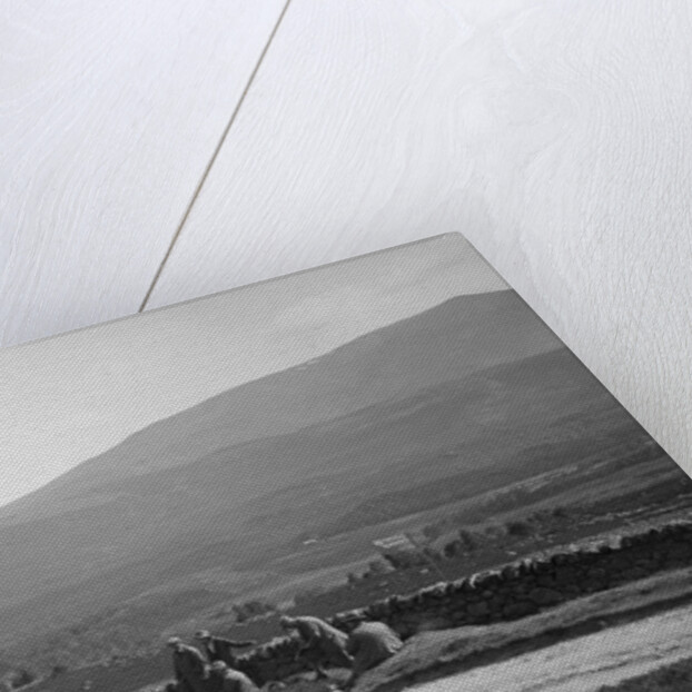 Lagonda open 2-seater of WH Oates competing in the Scottish Light Car Trial, 1922 by Bill Brunell