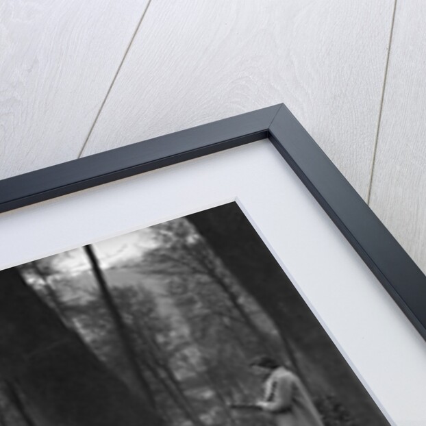 Jaguar SS100 at the Standard Car Owners Club Southern Counties Trial, Hale Wood, Chilterns, 1938 by Bill Brunell